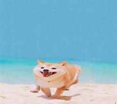 柴犬简笔画可爱